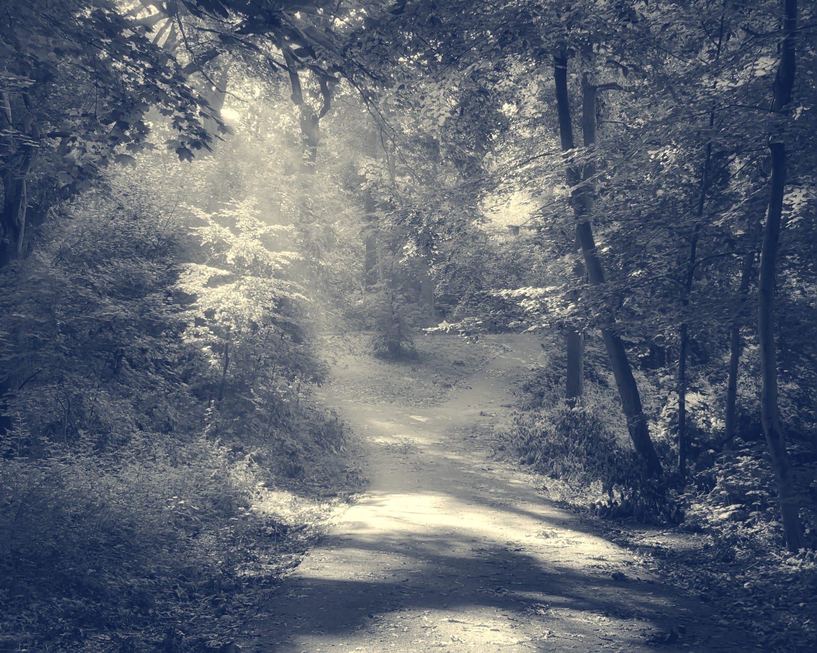 Mein Weg vom Coaching zur Psychotherapie
