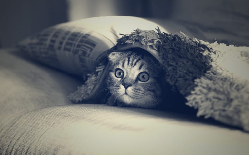 Therapiemethoden - was dir wirklich helfen kann